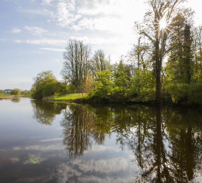 Sø med spejling af himmel og træer